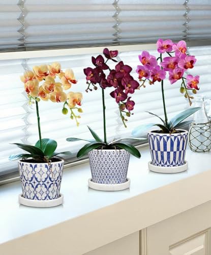 Small Ceramic Pots for Plants, 4.7 inch Blue and White Plant Pot Indoor with Drainage & Saucer Set of 3 Ceramic Planters for Indoor Plants Succulent Pot Decorative Flower Pots for Cactus, Orchid, Herb - Image 5