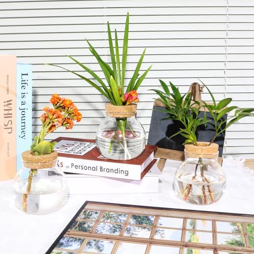 Plant Propagation Station,Hydroponic Terrarium Vase,Desktop Glass Planter Station,for Houses,Garden Decorations,ropagating Hydroponic Plants,Centerpiece Office,Home Garden Decor (4) - Image 5