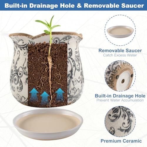 Ceramic-Planters-for-Indoor-Plants with Saucer, 6 inch Vintage Ice Crackle Glaze Plant Pots with Drainage Holes, Decorative Flower Pots for Outdoor Garden Home Decor, Tuscan Pot for Plant - Image 6