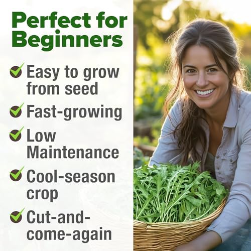 HOME GROWN Arugula Roquette Seeds, 2,175+ Seeds, Eruca vesicaria - Image 5