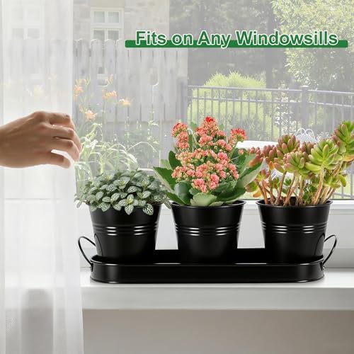 Herb Garden Planter Indoor Kit – 6 Metal Pots with 2 Trays for Windowsill & Kitchen Counter – Modern Decorative Indoor Planters for Herbs, Succulents & Small Plants, Black - Image 5