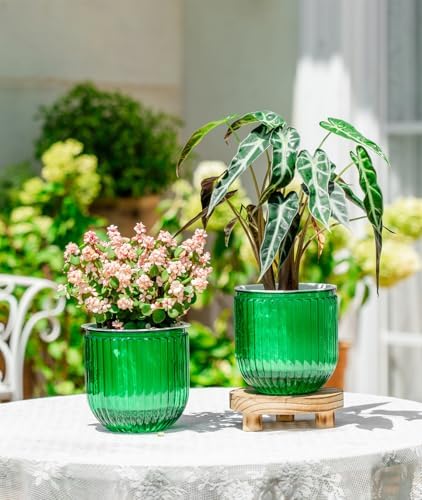 Melphoe Self Watering Pots for Indoor Plants Planter, 5.3 Inch 2 Pack Planters Self Watering Plant Pots for Flower, Houseplants, Succulent, African Violets and Cactus with Drainage - Image 3