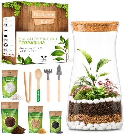 Terrarium Kit for Plants DIY by PYEFCRAFTS
