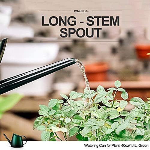 WhaleLife Small Indoor Plant Watering Can - 1.4L Dark Green Long Spout - Image 7