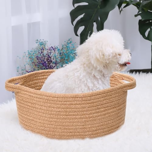 ABenkle Small Basket with Handles, Boho Decorative Rope Woven Dog Cat Toy Storage Bin Shelf Storage Organizer, Easter Christmas Gift Basket, 12"x8"x5" - Image 3