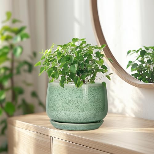 G EPGardening Ceramic Plant Pot - 7 Inch Ceramic Planter for Indoor Outdoor Plants, Flower Pot with Drainage Hole and Tray, Modern Round Planter, Plants Lovers Gifts, Home Garden Decor, Green - Image 6