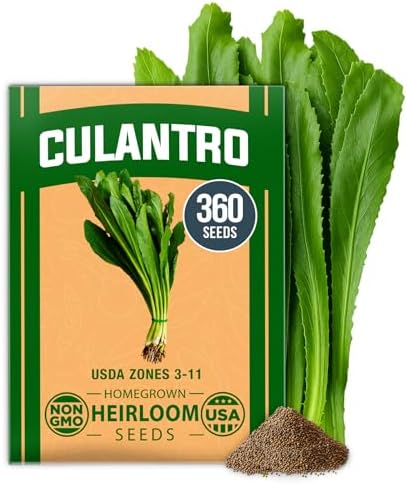 HOME GROWN Culantro Seeds, 360 Seeds, Eryngium foetidum by HOMEGROWN
