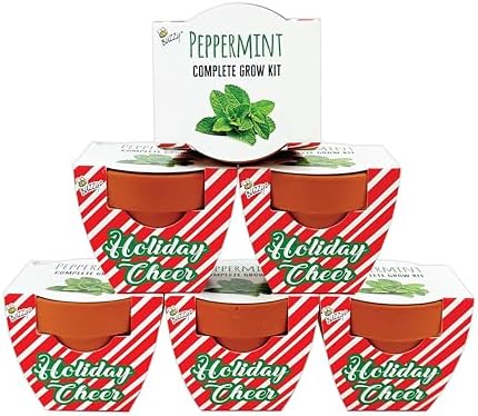 BUZZY Seeds Candy Cane Peppermint Grow Kit 6-Pack, Terracotta Pots by BUZZY