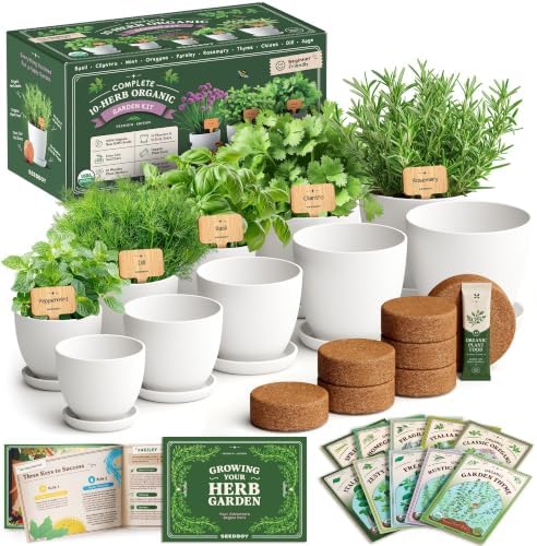 Seedboy Organic Non-GMO Herb Seeds for Planting (Herb Garden Starter Kit) by Seedboy