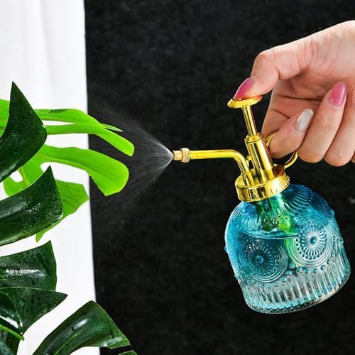 Spray Bottle for Plants, Plant Mister Spray Bottle, Glass Plant Mister Spray Bottle, Embossed Vintage Glass Watering Can, Succulent Watering Bottle with Top Pump for Outdoor (F) - Image 3