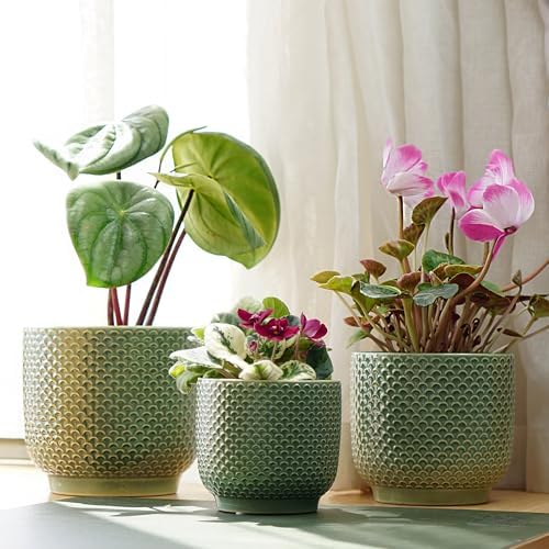 4 + 5 + 6 Inch Ceramic Pots for Indoor Plants, Succulents Plant Pots, Orchid Flower Pot with Drainage Hole, Modern Clay Stoneware Planters, Set of 3 (Green, 4+5+6 Inch) - Image 6