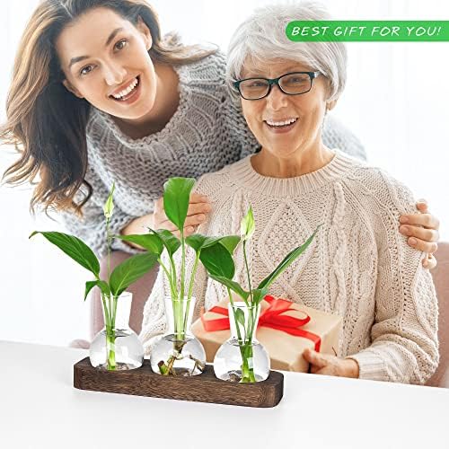 YIBOT Plant Propagation Station, Desktop Glass 3 Bulb Vase Brown Wood Tray - Image 4