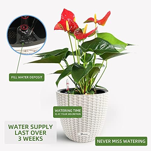 Dexceder 11x10 Self Watering Planter (Ivory White Rattan) - Image 4