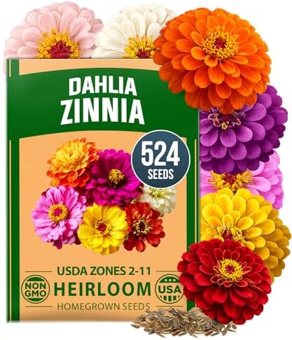 HOME GROWN Zinnia Dahlia Seeds, 524 Seeds, Zinnia elegans by HOMEGROWN