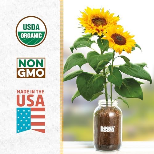 Back to the Roots Sunflower Organic Windowsill Planter Kit - Grows Year Round, Includes Everything Needed for Planting - Image 2