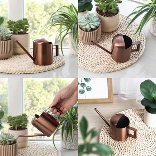 Mini Watering Can Stainless Steel Long Spout 10oz/300ml Small Watering Can for Indoor Desk Plants Outdoor Flowers Succulents Garden Watering Pot Gardening Tool (Green) - Image 6