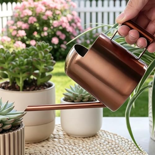 Watering Can 10oz/300ml Stainless Steel Long Spout Semi Open Powder Coated Flower Watering Pot for Garden Family Outdoor by Unknown