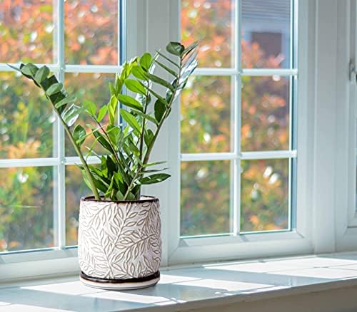 D'vine Dev Embossed Leaves Ceramic Planter, 6 in, Smoked White, 27-A-X-1 - Image 6