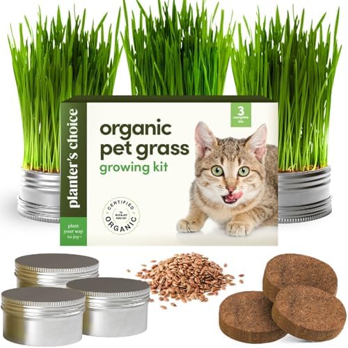 Cat Grass for Indoor Cats Kit - 3 Complete Growing Organic Planter Kits by Planters%27+Choice