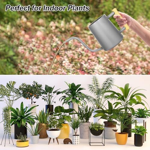 Watering Can Indoor Plants, 35 oz/1000 ml Metal Stainless Steel Watering Can Pot with Long Spout for Indoor House Plants Bonsai Outdoor Garden Flower Decorative (Gray) - Image 7