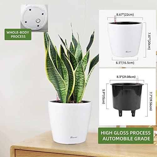 Dexceder 9x8 Self Watering Planter (White High Gloss) - Image 3