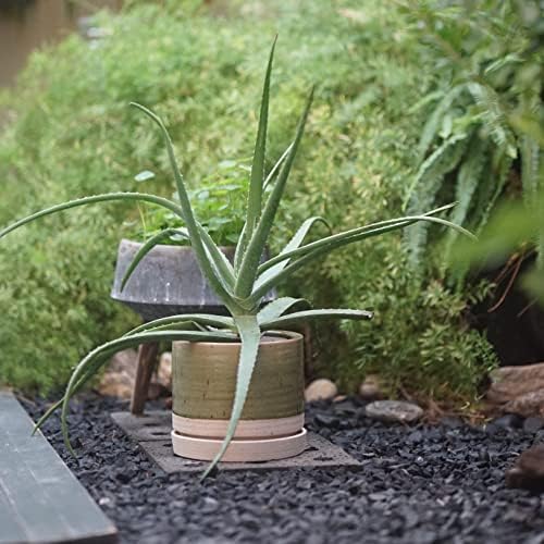 HERDUK 8 Inch Pots for Plants, Ceramic Planter Pot with Drainage Hole & Saucer, Indoor/Outdoor Cylinder Round Planter Pot, Green & Beige - Image 5
