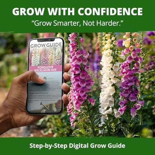 HOME GROWN Foxglove Mix 148,500 Flower Seeds 15g Digitalis purpurea - Image 7