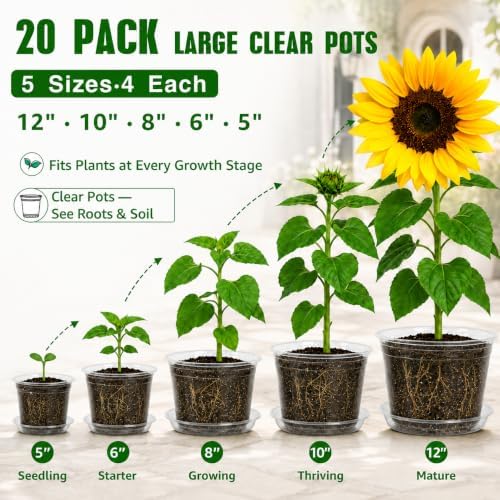 MIXC 12/10/8/6/5 Inch 20 Pack Clear Nursery Pots with Drainage & Sacuer - Image 5