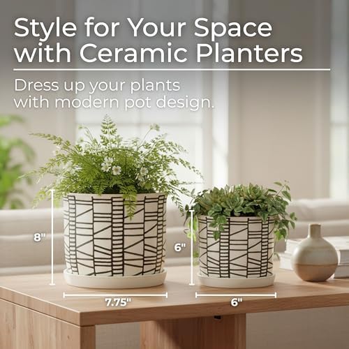 Set of 2 Geometric Decorative Ceramic Planter Pots with Saucer – Stoneware Outdoor & Indoor Plant Pots with Drainage – Modern Garden & Home Decor Ceramic Planters – 6" & 8", Ivory - Image 3