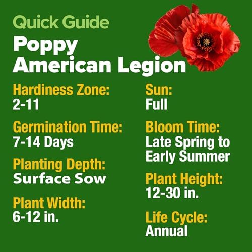 HOME GROWN American Legion Red Poppy Seeds, 6,000 Seeds, Papaver rhoeas - Image 5