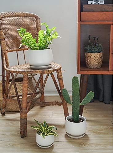 LE TAUCI Ceramic Plant Pots, 4.1+5.1+6.5 inch, Set of 3, Planters with Drainage Hole and Saucer, Indoor Flower Pot with Hole Mesh Pad, Gifts for Mom, White - Image 6