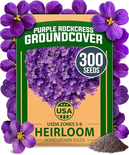HOME GROWN Aubrieta Rock Cress Purple Seeds, 300 Seeds, Aubrieta deltoidea by HOMEGROWN