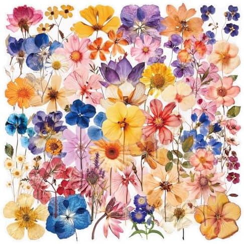 50PCS Transparent Flora Scrapbook Stickers, Vintage Aesthetic Flowers Sticker for Scrapbooks Travel Journal, Vinyl Waterproof for Water Bottles Laptop Phone Scrapbook Supplies DIY Crafts, (Flower-C) by Unknown