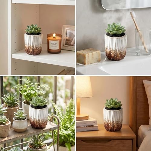 Succulent Plant Pots Ceramic Plant Pots and Drainage Hole Bonsai Planter Small Flower Pots for Indoor Outdoor Use for Home Office Garden Decoration,Plants Not Included (White B) - Image 6