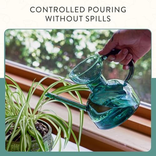 Modern Sprout Glass Watering Can - 32 oz - Long Spout Modern Decor (Teal) - Image 6