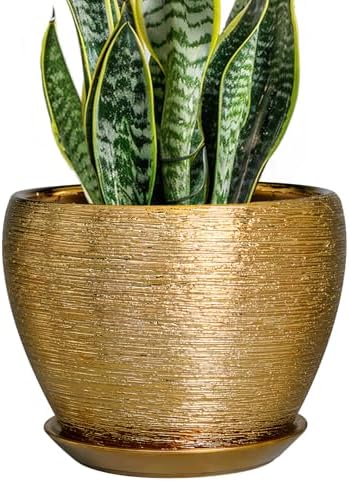 Ceramicfor Ceramic Plant Pot 8 Inch - Planter for Outdoor Plants Indoor Plant Pot with Drainage Hole and Saucer Decorative Round Planter Modern Flower Pot for House Decor Gold by Ceramicfor