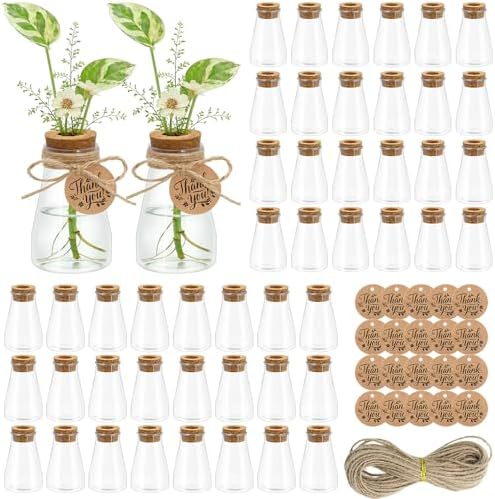 48PCS Plant Propagation Stations 3.35'' Plastic Propagation Jars Clear Vase by MajhullaSuppliers