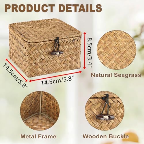 Hipiwe Wicker Shelf Basket Bin with Lid X-small Square Seagrass Storage Box - Image 2
