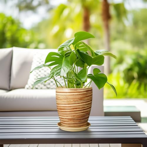 8 Inch Plant Pot, Ceramic Planter with Drainage Hole and Saucer Large Flower Pot for Home Patio Garden Office, Yellow - Image 6