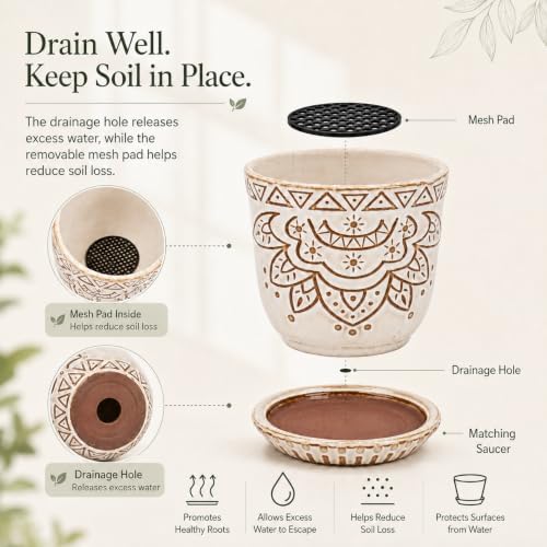 Gepege Ceramic Succulent Pots, 4 Inch Small Plant Pots with Drainage - Image 7