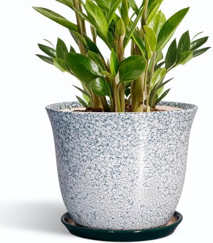 Ceramic Planter - 10 Inch Plant Pot for Indoor Outdoor, Round Planter with Drainage Hole and Plant Tray, Large Decorative Planters, Modern Flower Pot, Home Room Decor, Gardening Gift, Green by SUNPOTFOR