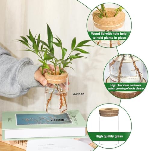 Separated Desktop Glass Flower Vases with Wooden Saucers - Ideal Plants Propagation Stations for Living Room, Bedroom Decoration,Home Decor (9) - Image 2