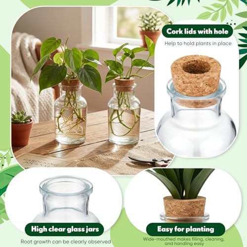 12 Pack Glass Plant Propagation Stations, Cylindrical - Image 3