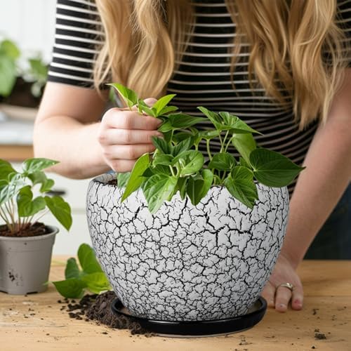 Ceramicfor Ceramic Plant Pot 8 Inch, Glaze White and Black - Image 4