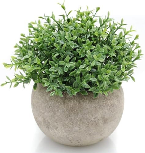 Velener Mini Sage Green Potted Boxwood Topiary Artificial Plants for Home Decor Indoor, Farmhouse House Plant Office Small Desk Shelf Apartment Coffee Bar Bathroom Decor Guest Room, Small Fake Plant by Velener