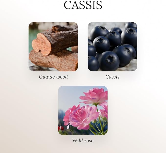 A U R A - Cassis Fragrance Oil for Waterless Scent Diffuser - Inspired by Diptyque L’Ombre Dans l’Eau | 3.4 fl oz / 120 ml Essential Oil Blend for Aromatherapy & Hotel Collection Diffuser