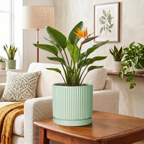 Ceramic Plant Pots, 8 Inch Pots for Plants with Saucer, Mint Green - Image 6