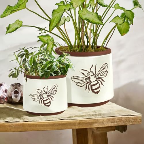 Terracotta Pots, 6+4 Inch Plant Pots, 2 Pcs with Drainage Holes - Image 6