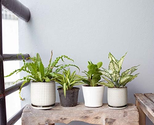 D'vine Dev Beaded Ceramic Planter Pots, 4/6 in, Smoked White, 27-D-U-1 - Image 5