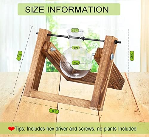 Kingbuy Plant Propagation Station Bulb Vase, 1 Bulb Vase - Image 5